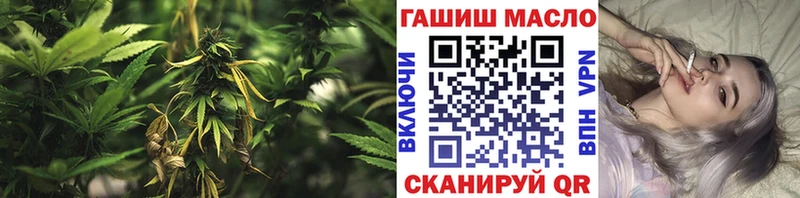 ТГК Wax  Остров 