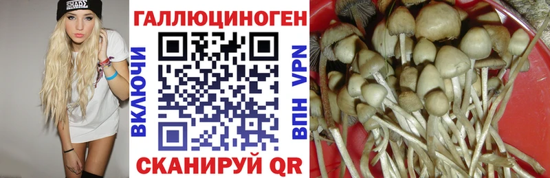 кракен зеркало  купить наркотики сайты  Остров  Галлюциногенные грибы мухоморы 